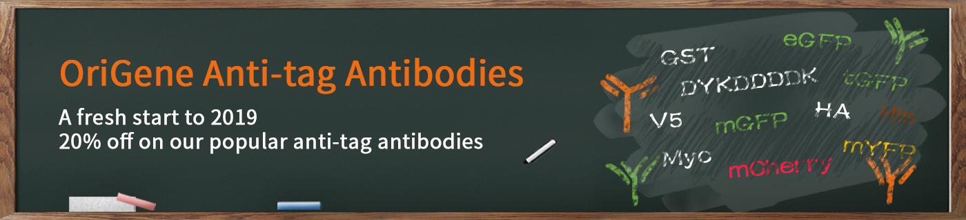 Best antibodies for the detection of recombinant proteins Offer